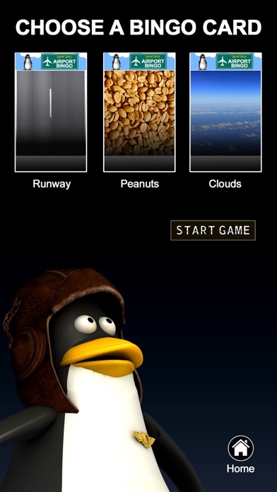 Airport Bingo Game! screenshot 3