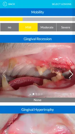 Game screenshot Dental Index apk
