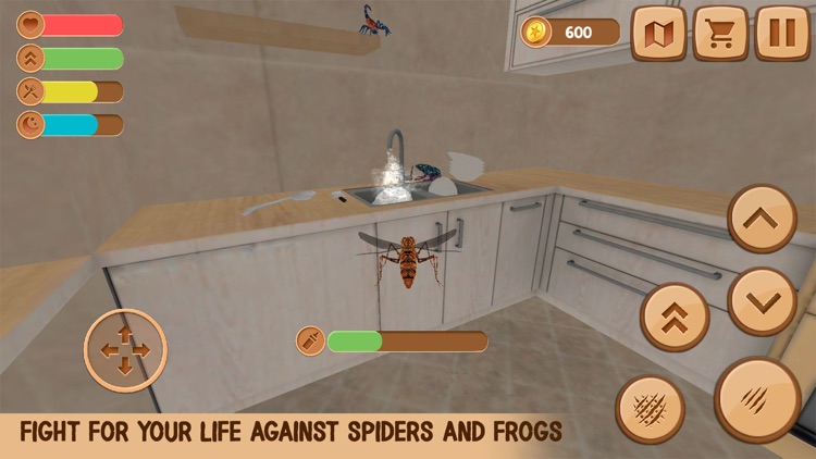 Mosquito Insect House Survival