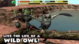 owl simulator iphone screenshot 1