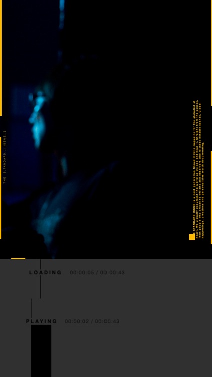 THE STANDARD ISSUE screenshot-3