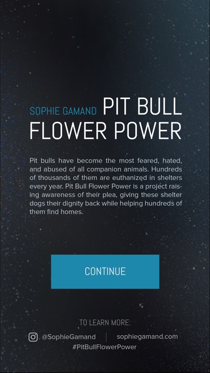 Pit Bull Flower Power