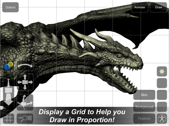 Dragon Mannequin iPad screenshot 4 - Education app