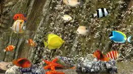 myreef 3d aquarium 3 problems & solutions and troubleshooting guide - 1