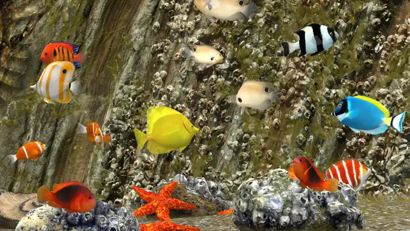MyReef 3D Aquarium 3 screenshot 5 of 5