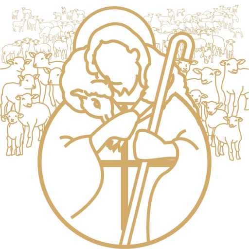 Flock: Catholic Social Network