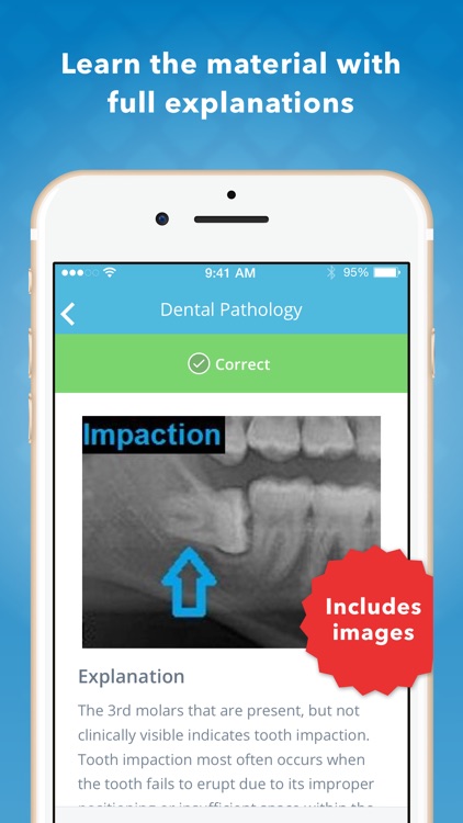 Dental Anatomy Mastery