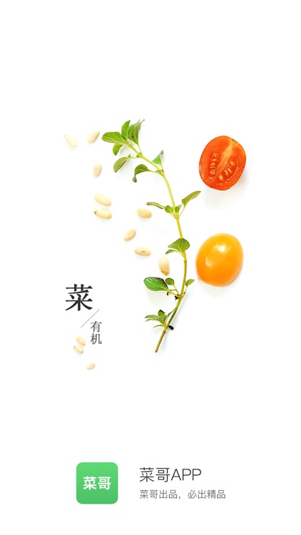 菜哥