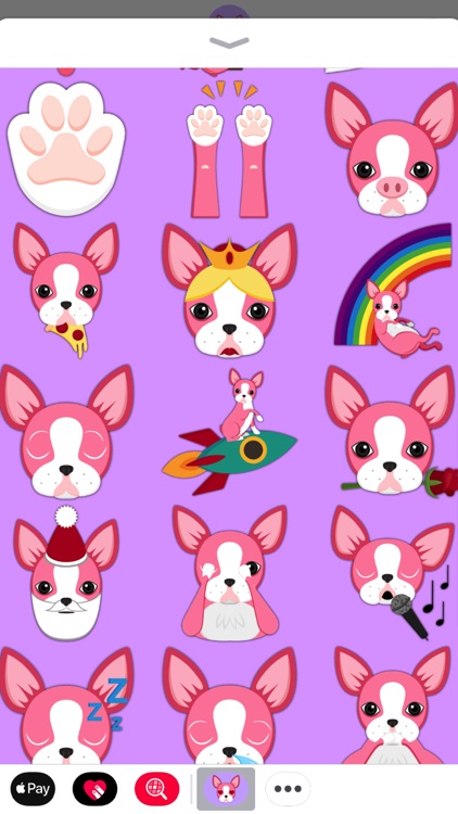 Valentine's Day Boston Terrier screenshot-4