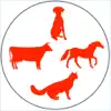 Similar Animal & Veterinary Drugs Apps