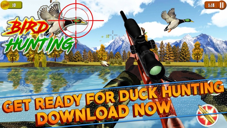 Duck Turkey Hunting Simulation