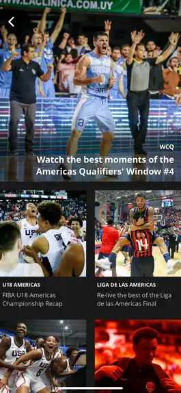 Game screenshot FIBA Americas Connect hack