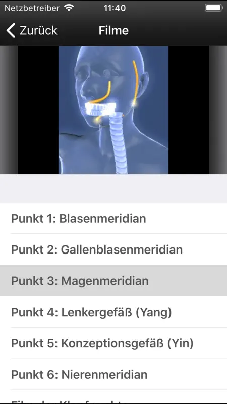 MET Klopftherapie screenshot 4 of 4
