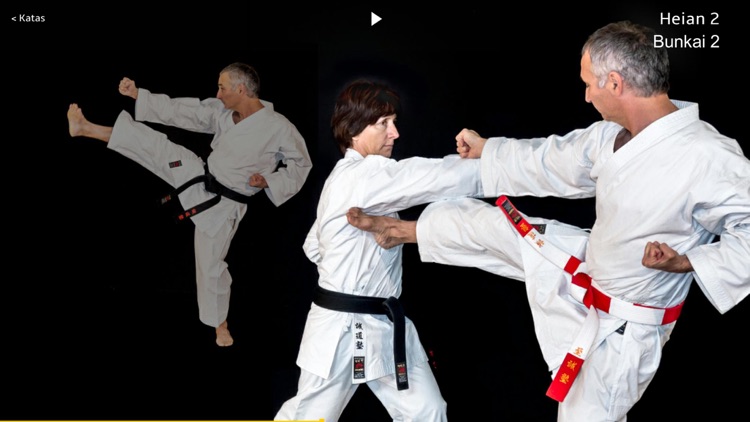 Kata Shotokan screenshot-4