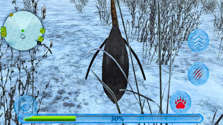 Penguin Simulator: Arctic Beach Survival screenshot-4