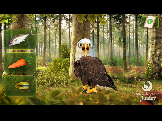 Screenshot #5 pour Luke le garde forestier