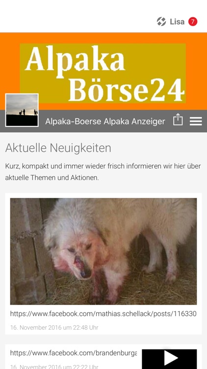Alpaka-Boerse Alpaka Anzeiger