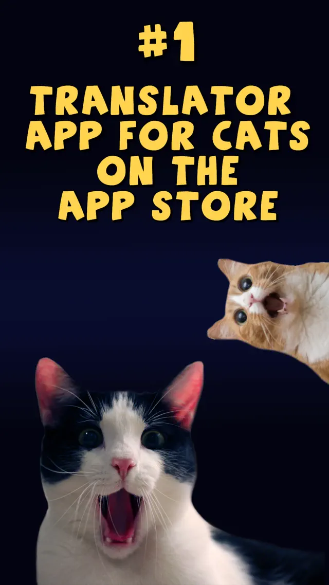 Cat Translator Deluxe screenshot 8