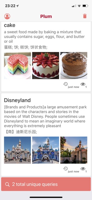 Plum Dictionary(圖6)-速報App