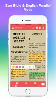 ewe bible audio iphone screenshot 2
