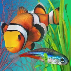 螢幕擷取畫面 (5) Fish Farm 2