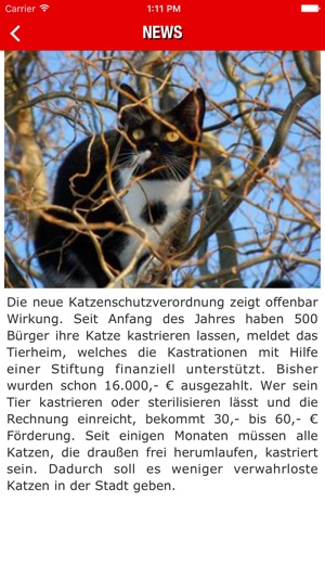 Radio Mülheim(圖4)-速報App