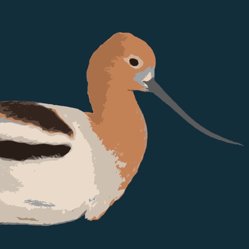 Birding Utah