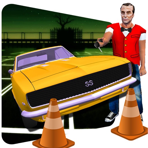 Valet Car Parking Game 2017 icon