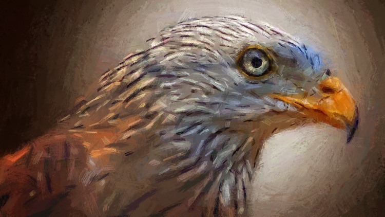 BrushWork screenshot-4