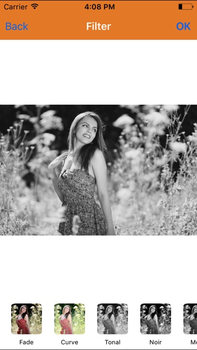 Screenshot #2 pour Navratri Photo Collage Frame