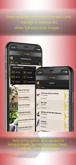 Game screenshot The Birds of Peru apk