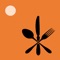 Random Meals is an easy to use app that can help you find a favorite new dish or restaurant, and share them with others via text, email , or posts on social media