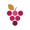 Wine Cellar Database App Positive Reviews