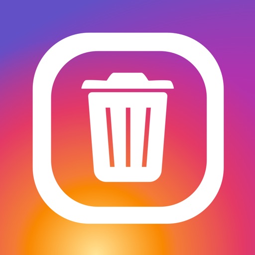 Cleaner for Ins iOS App