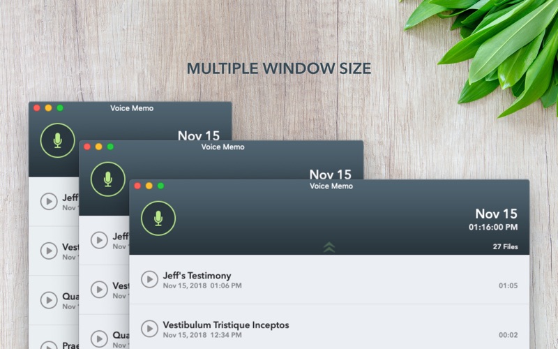 Voice Memo Screenshot