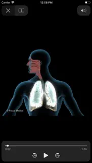 lungs - digital anatomy problems & solutions and troubleshooting guide - 1