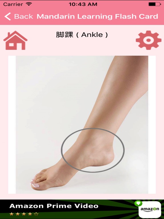 Screenshot #6 pour Mandarin Learning Flash Card