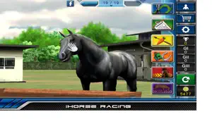 iHorse Racing: horse race game screenshot #2 for iPhone