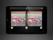 spot the difference xxl ipad resimleri 3