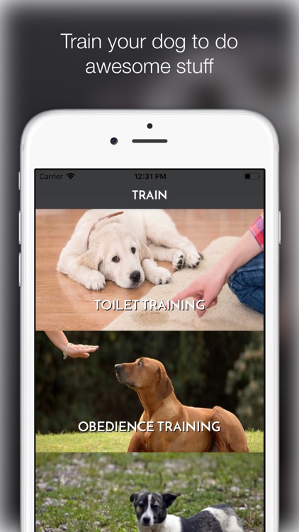 My Dog App - Care my Dog