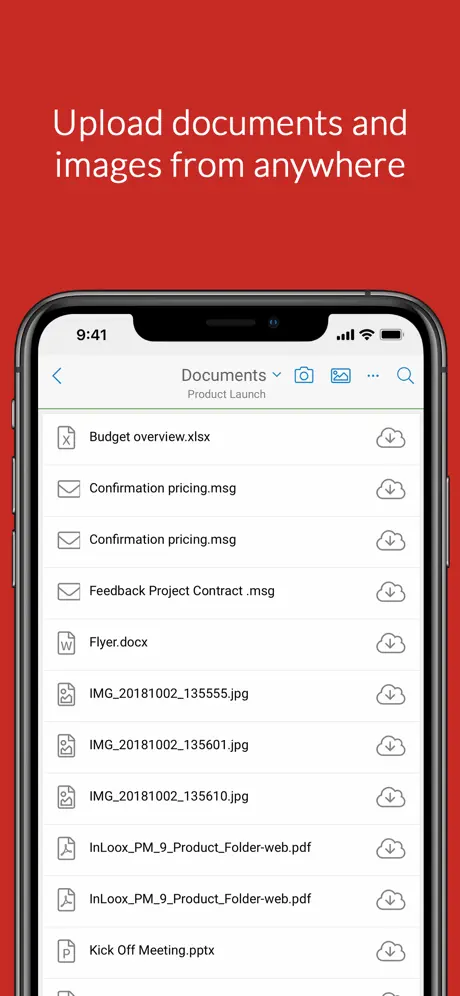 InLoox 10