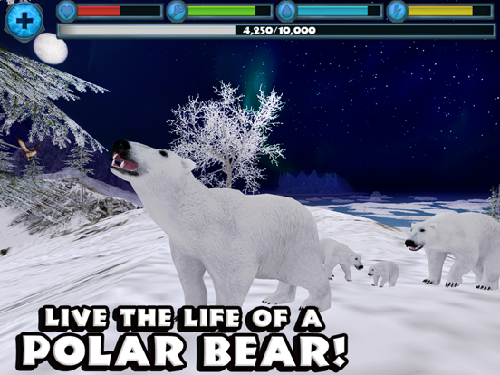 Polar Bear Simulator на iPad