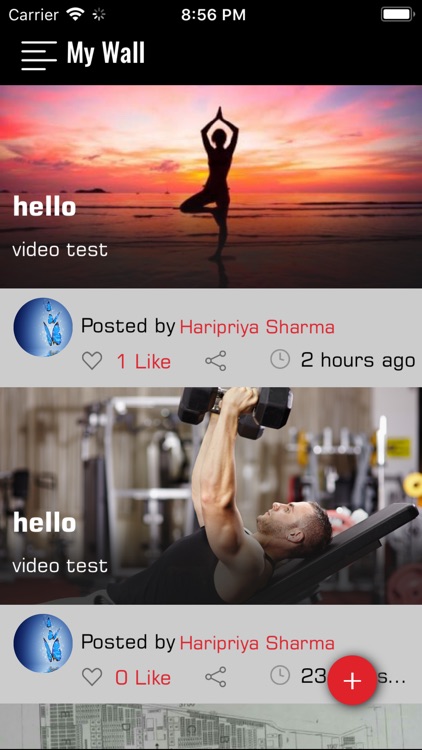 BodyZone screenshot-3