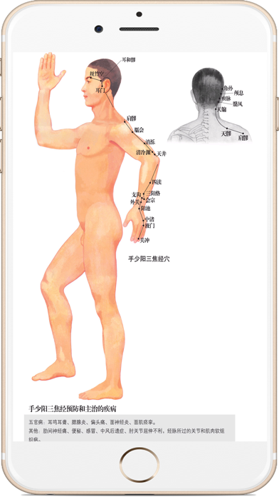 Screenshot #3 pour 全套高清人体穴位图