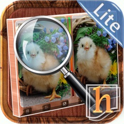 h Find The Differences 2 LT HD