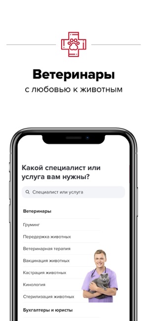 Бухгалтеры онлайн какие документы нужны при подаче декларации 3 ндфл