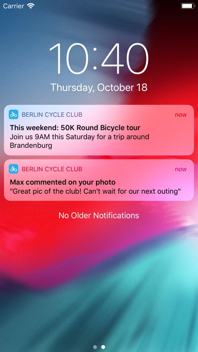 BerlinCycleClub screenshot 3
