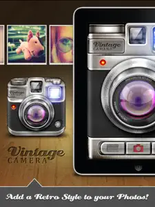 Vintage Camera for iPad screenshot #1 for iPad