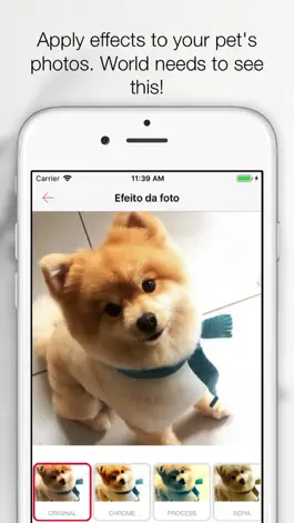 Game screenshot Pets - Your Pets' Life apk