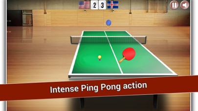 Mini Table Tennis screenshot 2